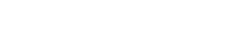 nes