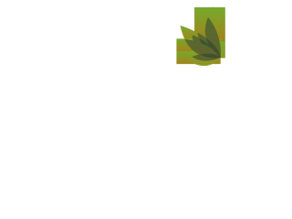 Abant Aden Boutique Hotel & Spa